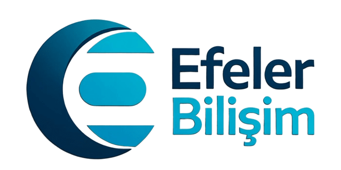 Efeler Bilişim - Aydın Web Tasarım & Yazılım